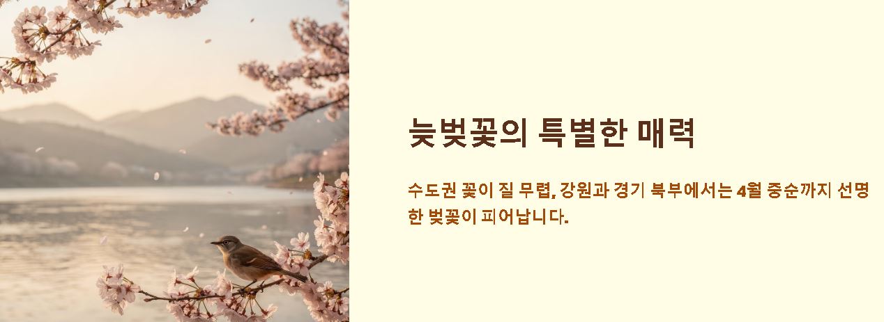 벚꽃 개화시기 2026 예상