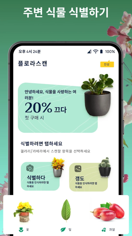 꽃이름 검색 어플, 사진으로 꽃이름 찾기