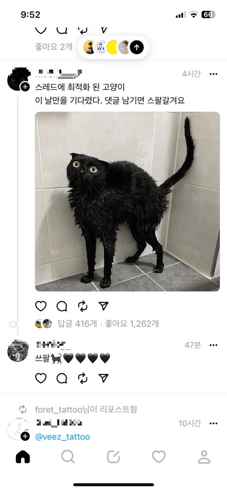 인스타 메타 스레드 출시! 가입절차 및 사용방법