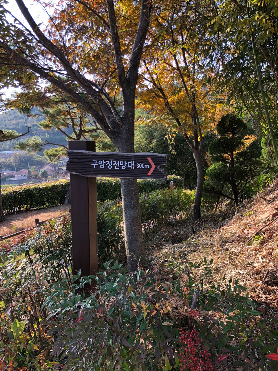 구암정 전망대 가는길