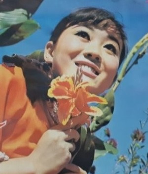 하춘화 노래 모음