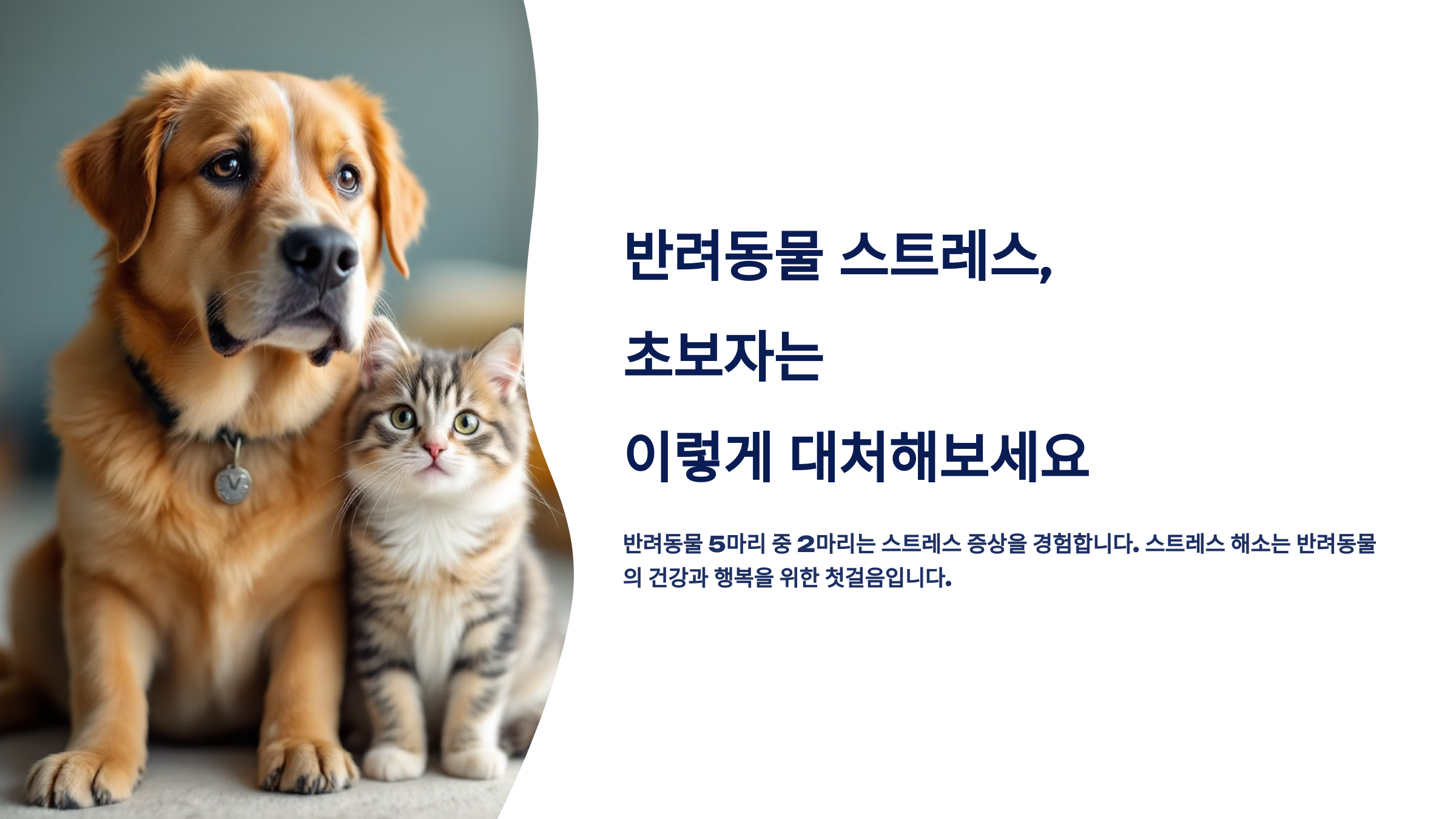 반려동물 스트레스, 초보자는 이렇게 대처해보세요