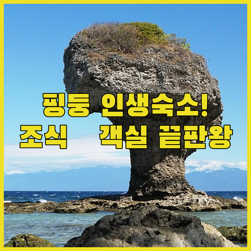 대만 핑둥 가족 여행 추천 넓은 객실..