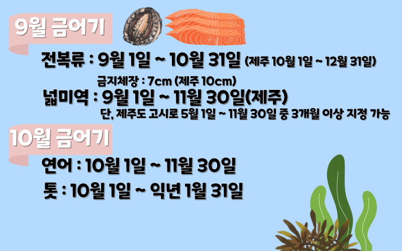 금어기7