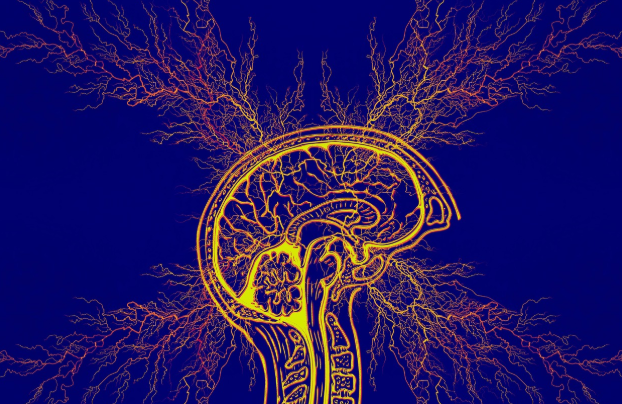 독성 쇼크 증후군과 관련된 사진