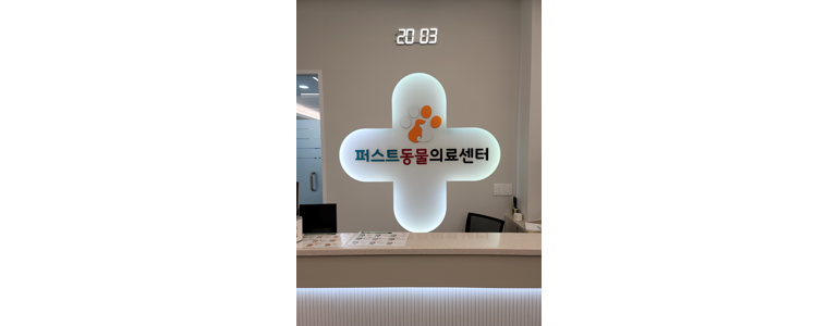 인천 미추홀구 동물병원