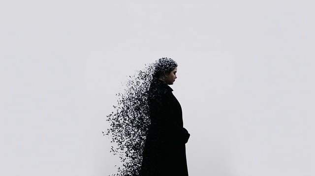 서초동 드라마 등장인물 몇부작 OTT채널 방송시간