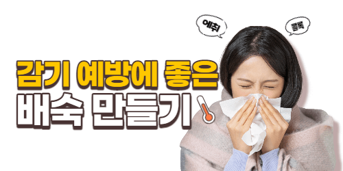 감기예방 배숙만들기