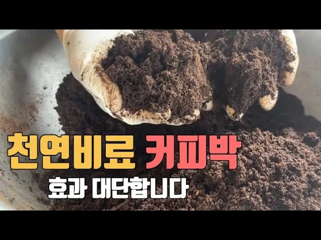 커피찌꺼기 퇴비 활용 비료대체 냄새관리 양조절 안전사용 팁_1