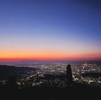 5월 대전 꼭 가볼 만한 여행지 화려한 장미꽃으로 물든 한밭수목원_8