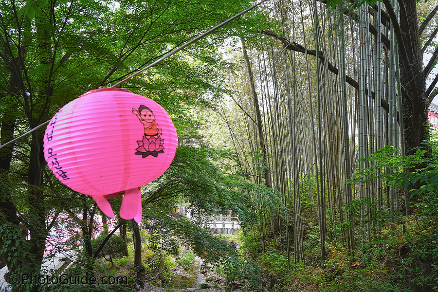 쌍계사-포토가이드