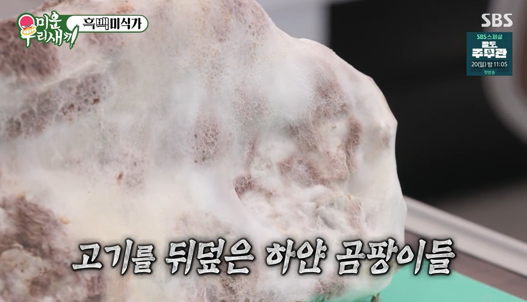 고기를-하얗게-뒤덮은-곰팡이