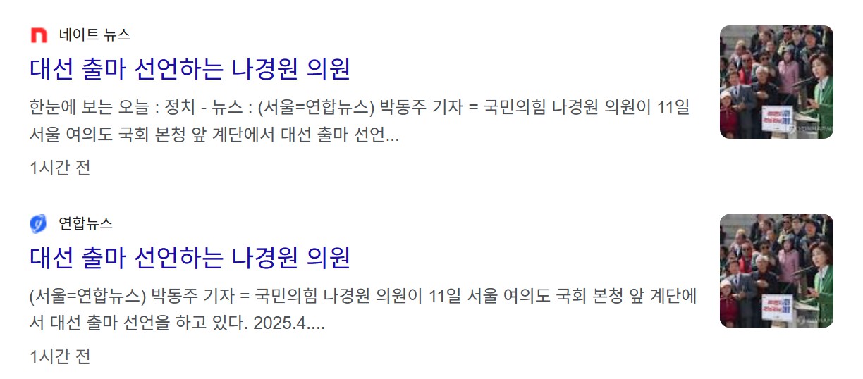 나경원 대선 출마