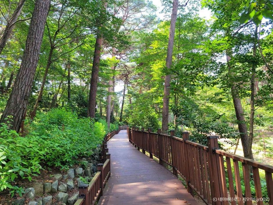 충남 태안 봄 여행지 BEST 3｜천리포수목원 목련(봄꽃)축제 주변 여행지