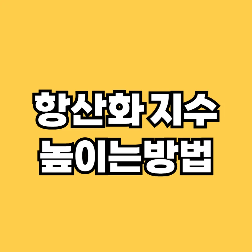 항산화 지수 높이는 방법