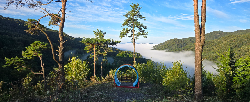 특색있고 아름다운 민간 정원 30선 추천 여행 - 21. 보성 성림정원