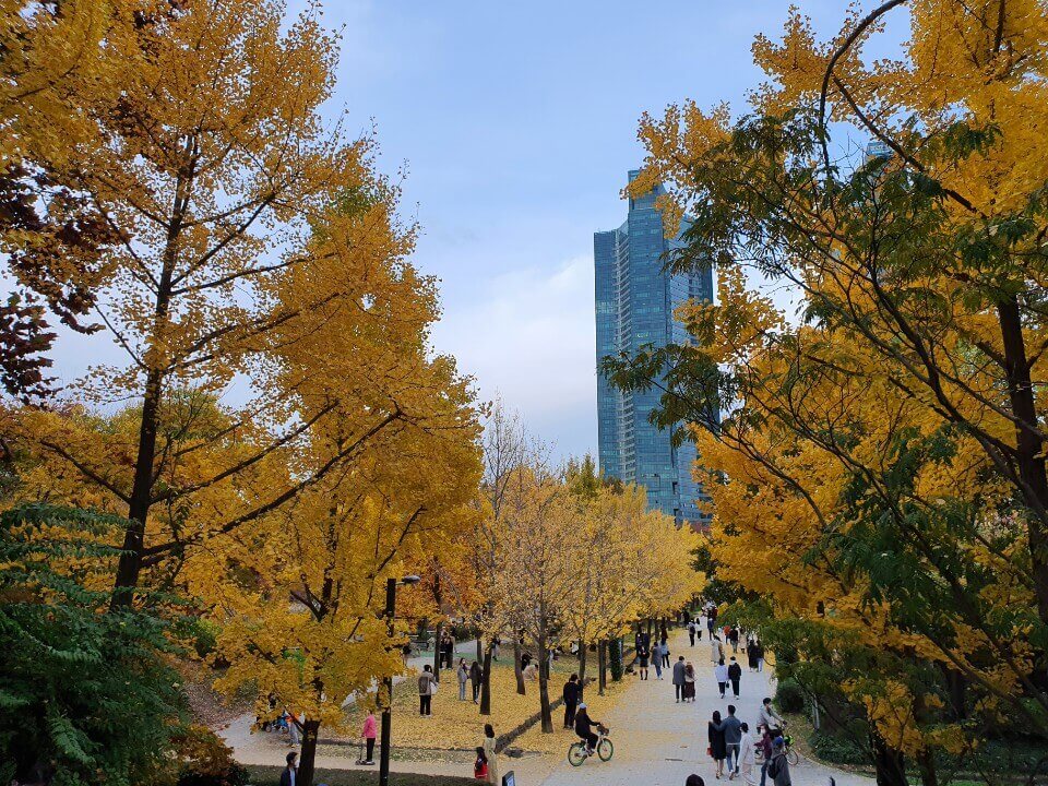 서울숲 단풍