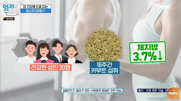 카무트&amp;#44; 카무트 효소 
