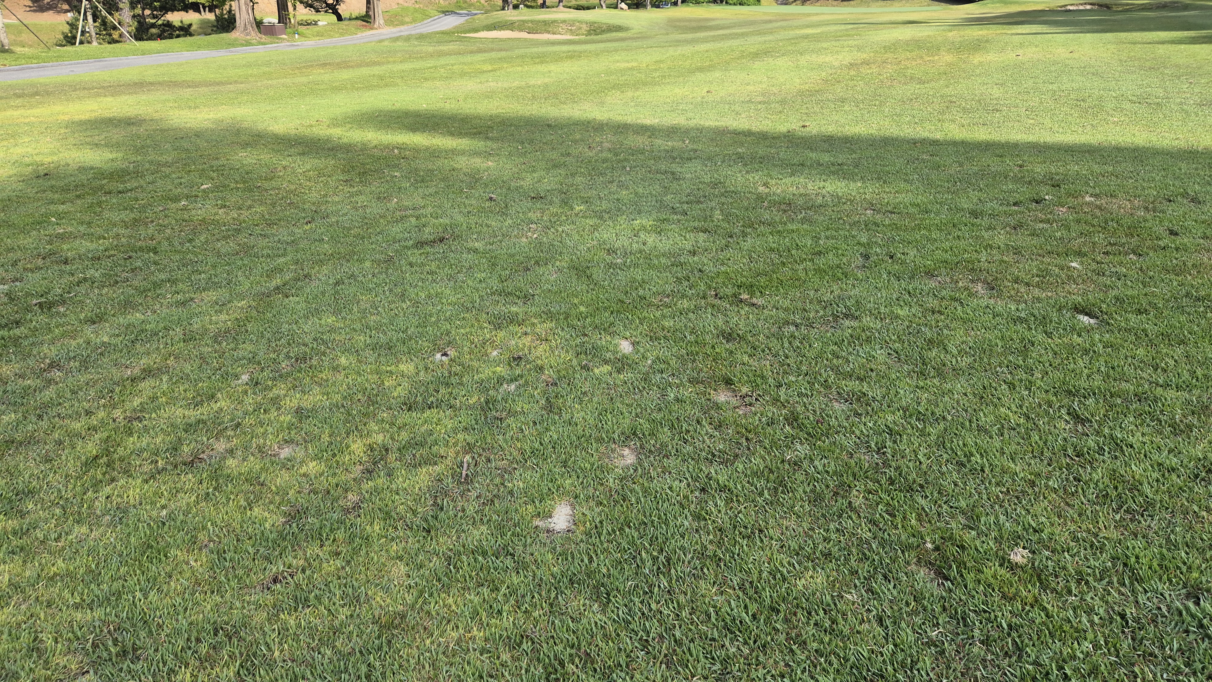 한원cc 라운드후기