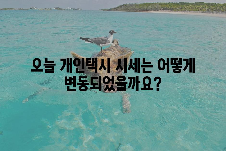 샘플 (1)