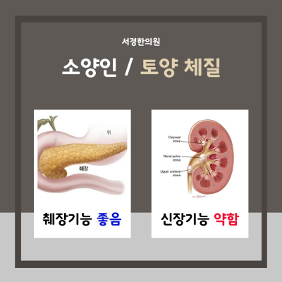 8체질의학 토양체질