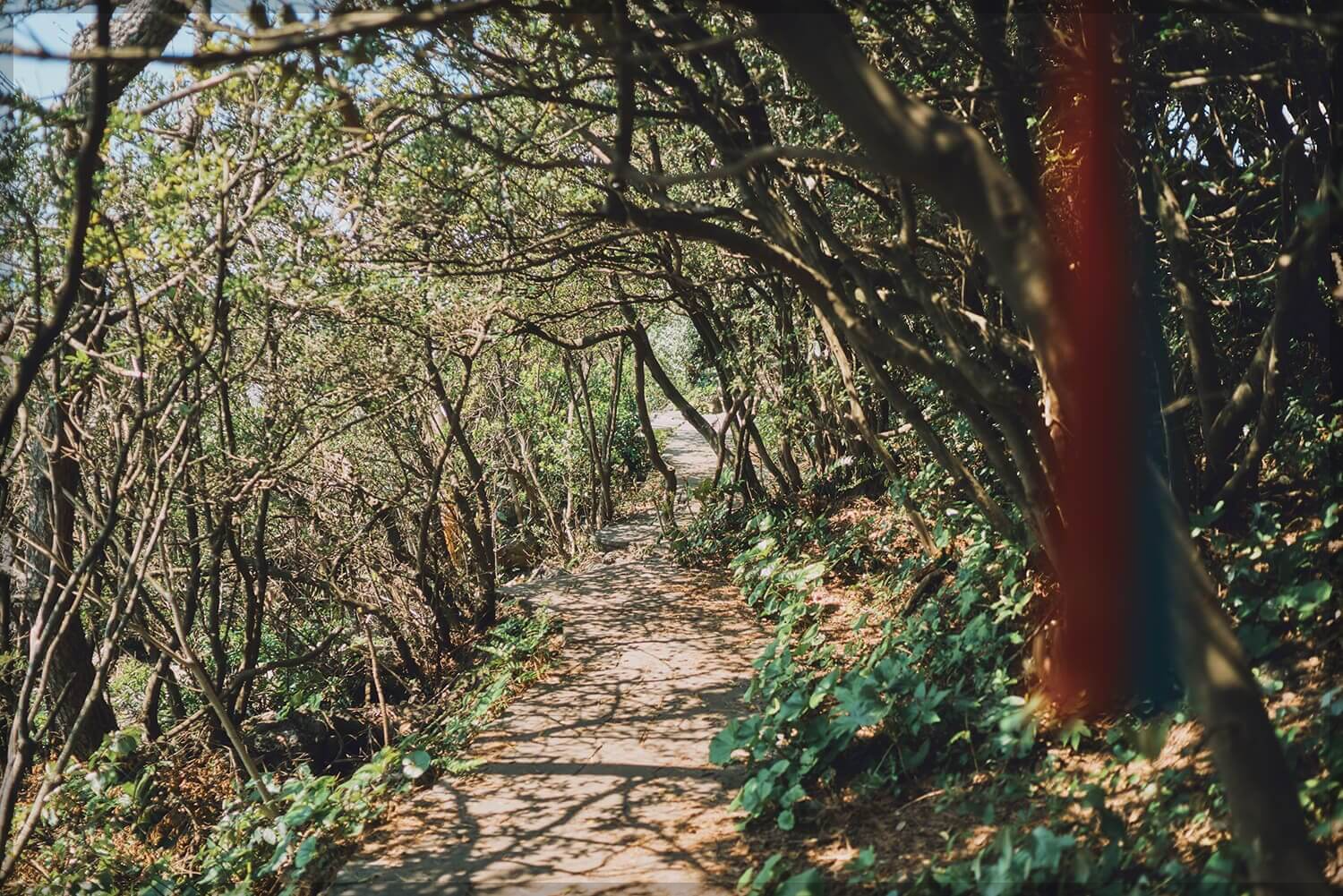 제주 올레길 4코스 지도 맛집 숙소: 해안과 숲이 만나는 여정