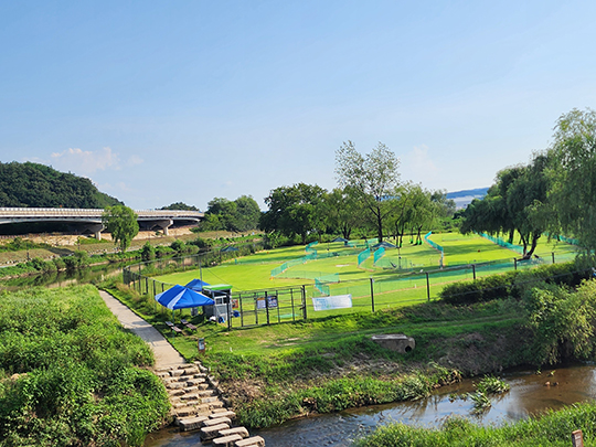 서울 파크골프장 TOP 7 / 입문자부터 시니어까지 추천 코스 총정리