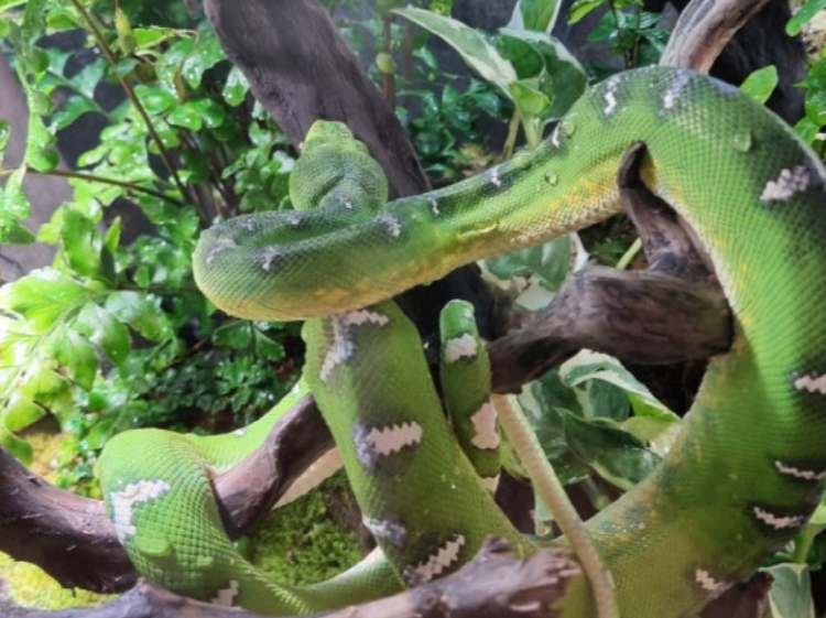 가평 신비동물원