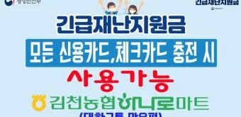 농협 민생회복지원금 잔액조회 방법 완벽 정리 사용처 확인방법_17