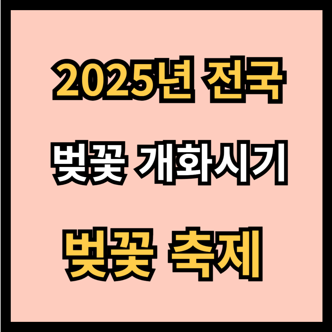 벚꽃 개화시기
