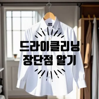 드라이클리닝 표기 확인 집에서 관리와 세탁망 활용법_4