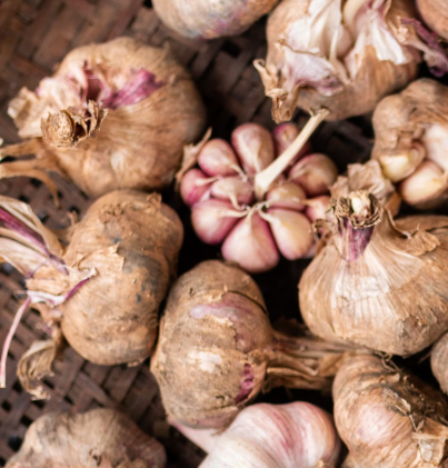 마늘 효능 효과 부작용 당뇨 혈관 건강