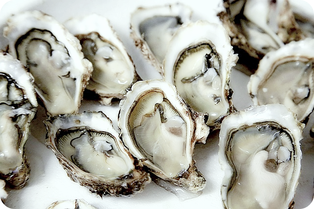 겨울철 노로바이러스관련사진