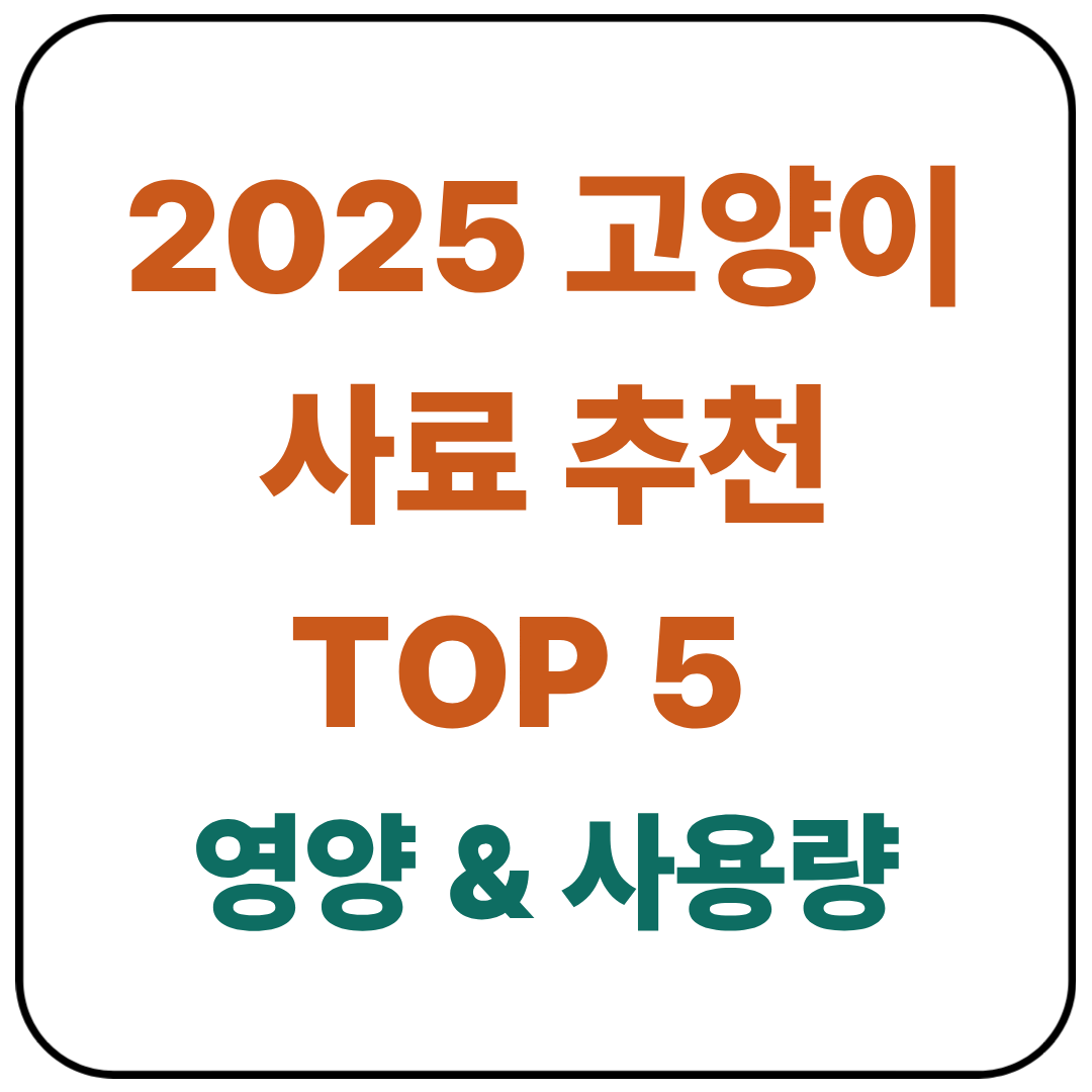 2025 수의사도 인정한 고양이사료 추천 TOP 5 / 영양 & 사용량