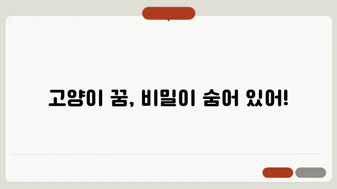 고양이 꿈 해몽 알아보기