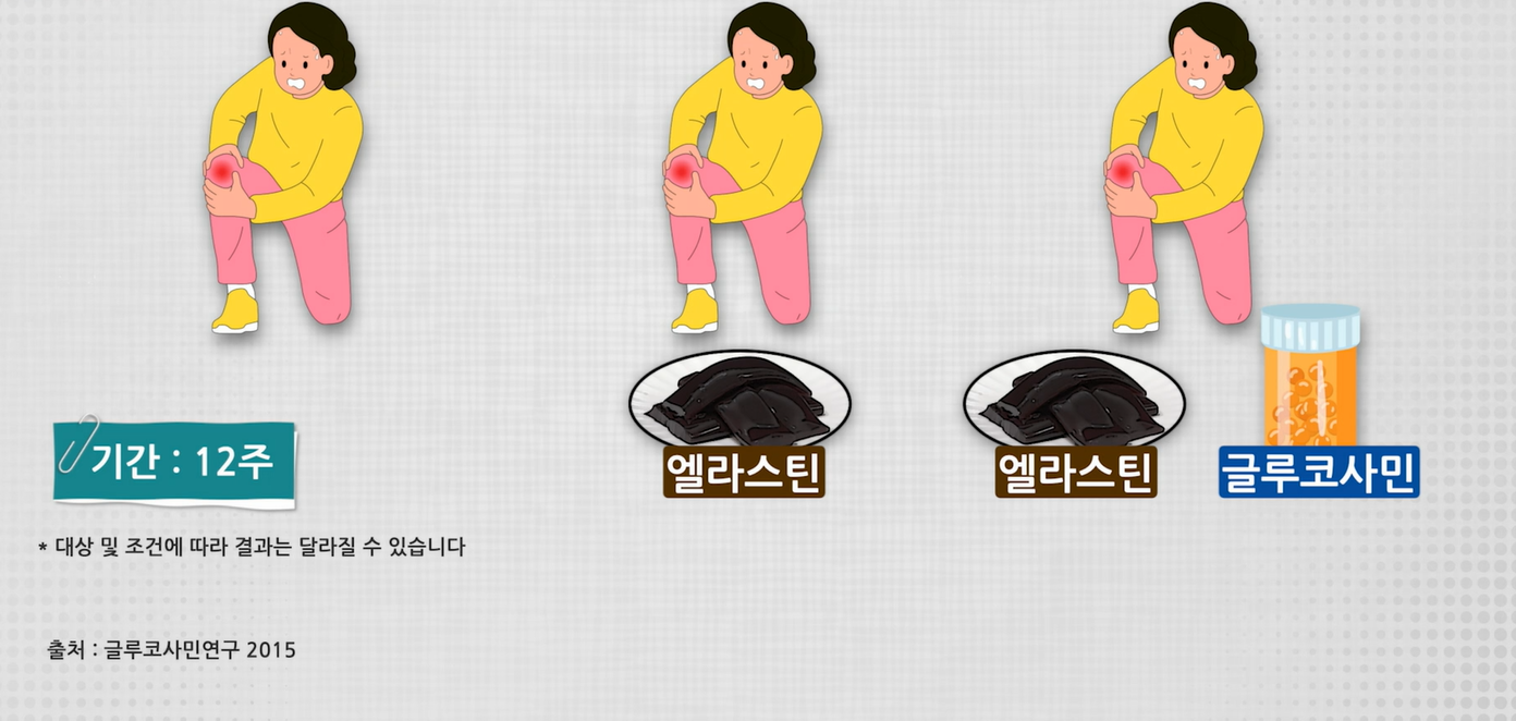 엘라스틴 효능