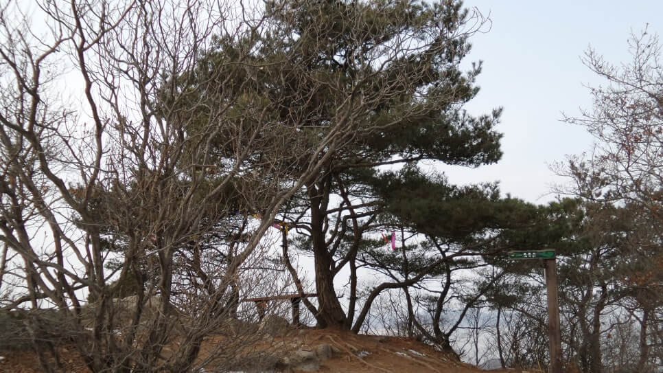 100대 명산 등산하기 열다섯번째 석모도 해명산 새벽 햇살이 가장 먼저 스며드는 산