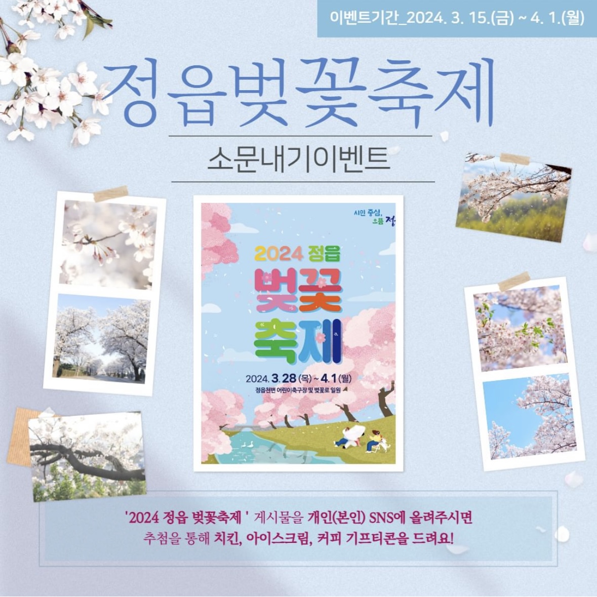 정읍 벚꽃 축제