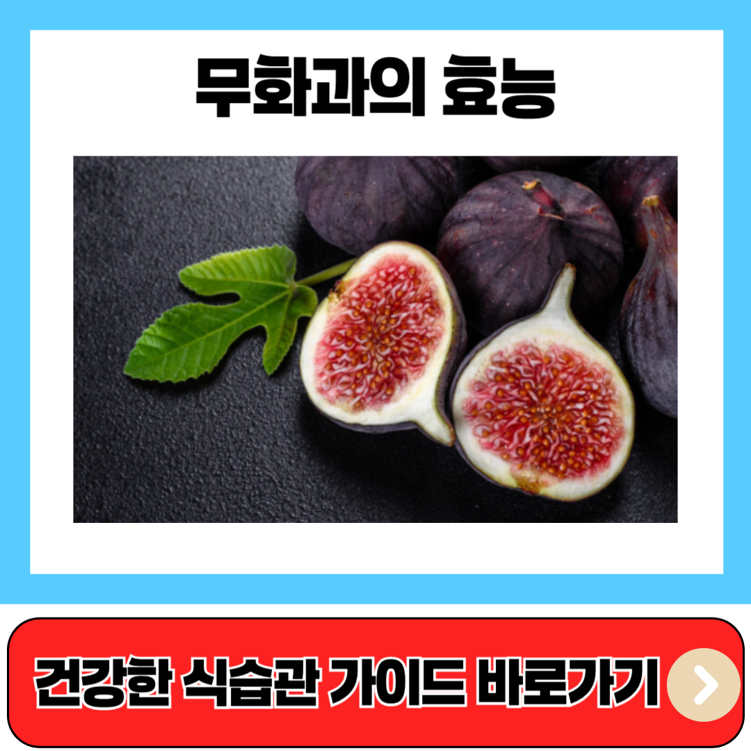 무화과의 효능