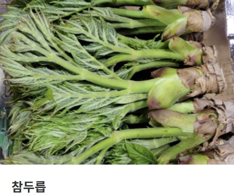 홍천 산나물축제 2026
