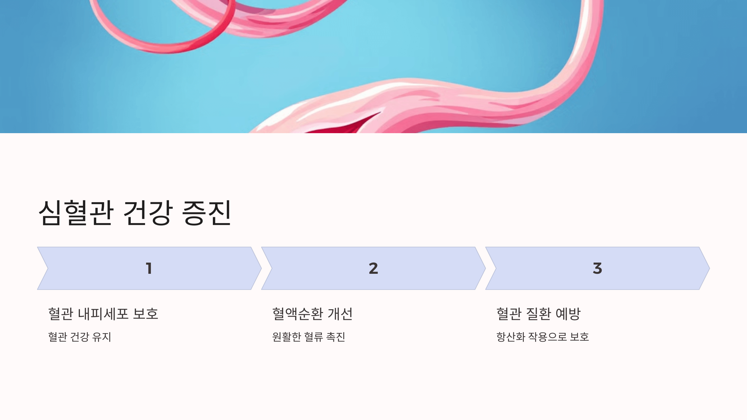 루피니빈과 관련된 사진입니다.