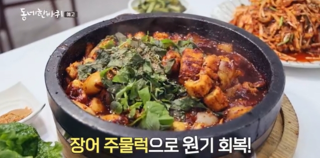 동네 한바퀴-강진-마량항-전어-장어주물럭
