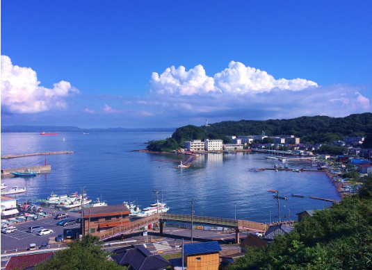 재난 보험 vs 자연 재해 보험 차이 총정리