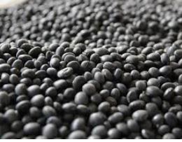 갑상선에 좋은 음식