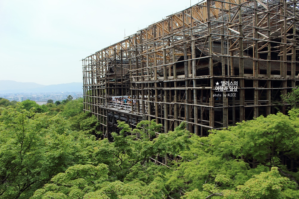 일본 여행, 교토 버스투어 현대카드 × kkday 일본여행 30% 할인