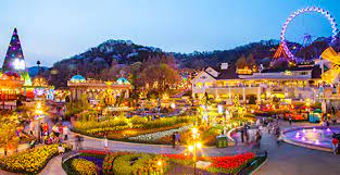 에버랜드 큐패스 가격