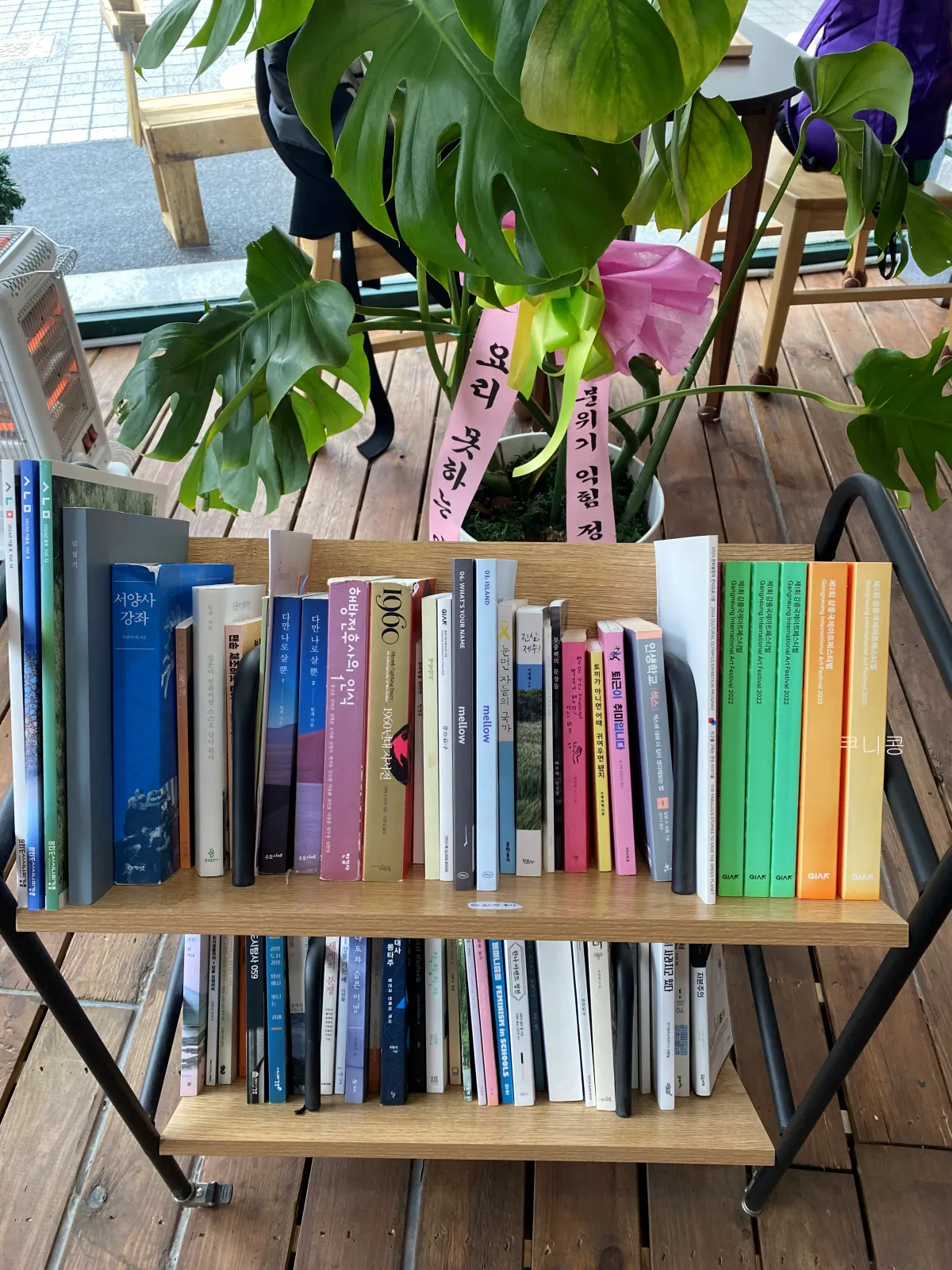 당일치기-뚜벅이여행하기-좋은-곳-강릉-시내-책방-서점투어-윤슬서림