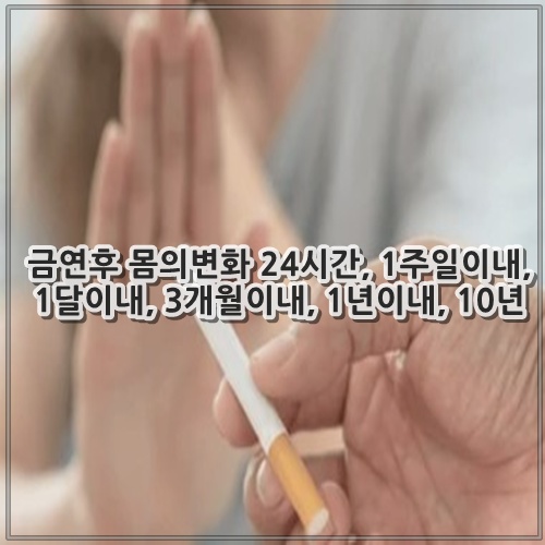 금연후 몸의변화 24시간, 1주일이내, 1달이내, 3개월이내, 1년이내, 10년