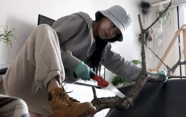 옥자연 식물장 나혼자산다