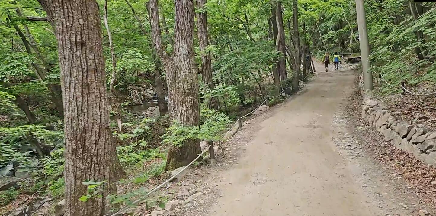 곰배령